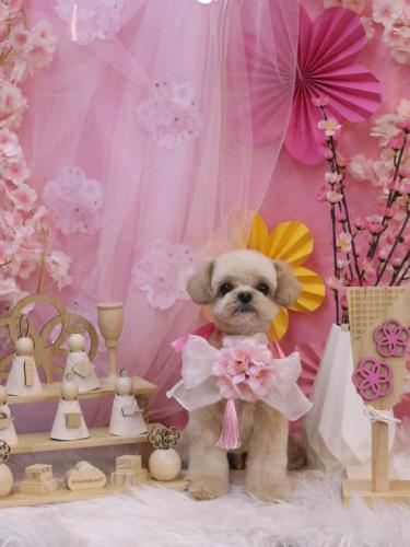 20250306だいくん